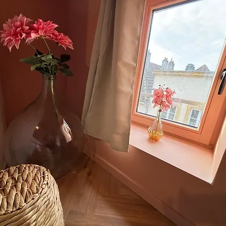 شقة Le Vigne Wifi Centre *
